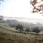 IMG_0029_rw.jpg