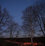 IMG_1298_landscape.jpg