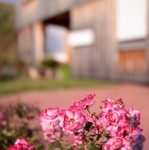 IMG_6176.jpg